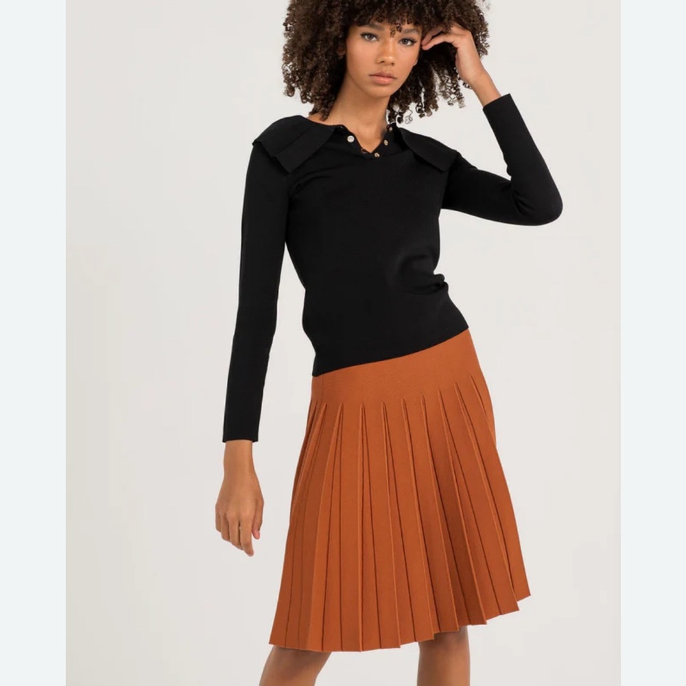 ALEEZA PARIS size XXL orange pleated skirt new with tags $109